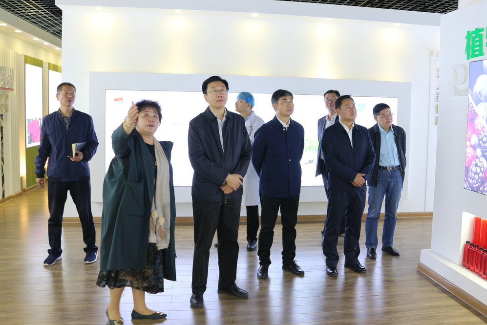 2020年11月2日省政府食安辦副主任，省市場(chǎng)監(jiān)督管理局副局長王建防到公司調(diào)研指導(dǎo)工作.JPG